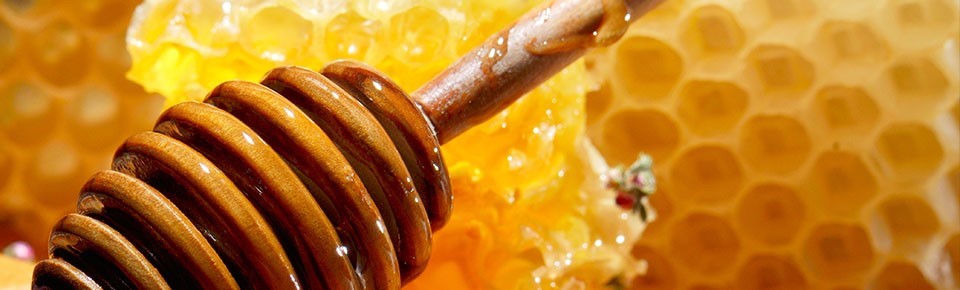  Local Honey For Sale Colony Farm Kalamazoo MI